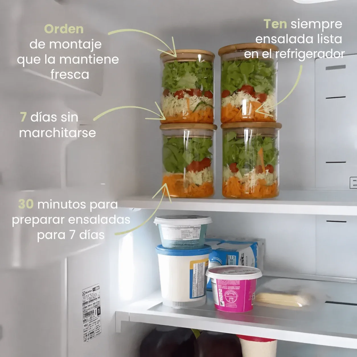 Ensaladas preparadas en el refrigerador